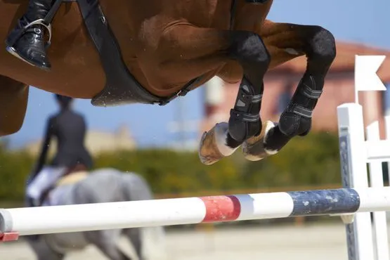 A horse jumping on a competition